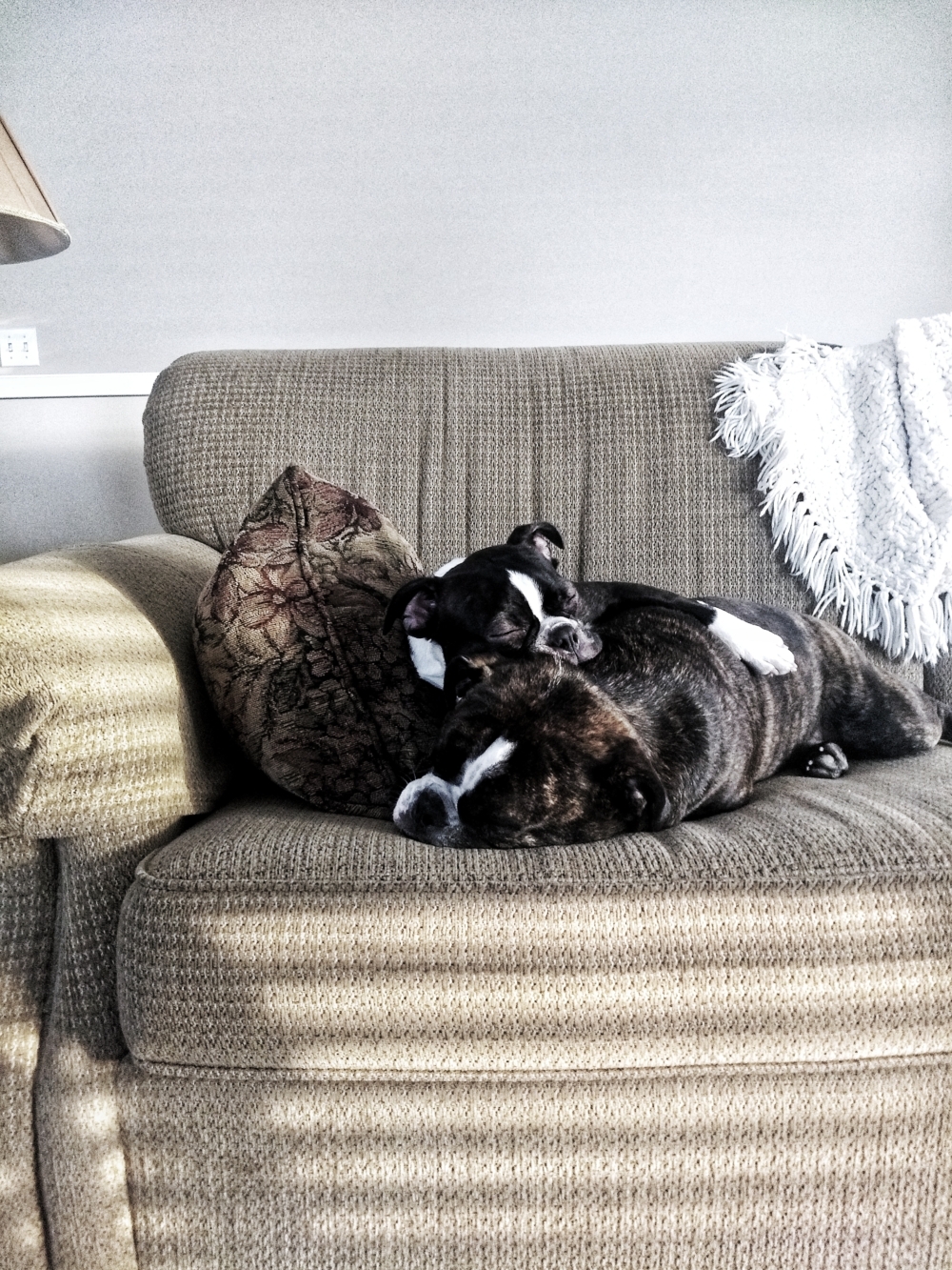 IMG_20190618_204429361-01